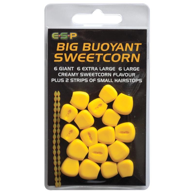 E-S-P - 4031321005232200700301095602176n.jpg